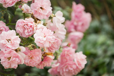 Similar image 7542475