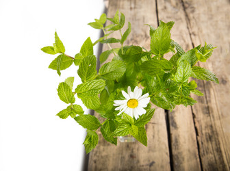 Similar image 7542476