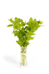 Similar image 7542489