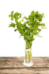 Similar image 7542490