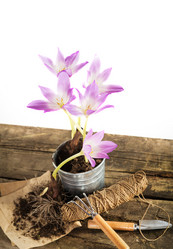 Similar image 7542502