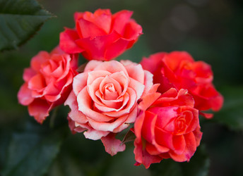 Similar image 7542521