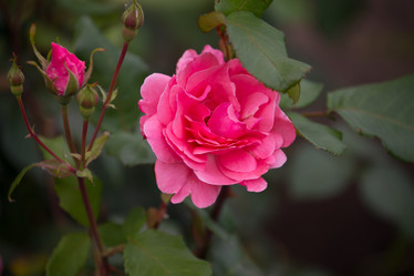 Similar image 7542524