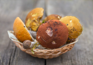 Similar image 7542527