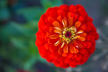 Similar image 7542535