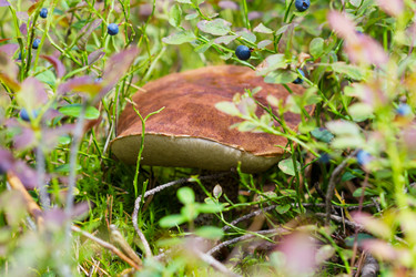 Similar image 7542541