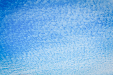 Similar image 7542544