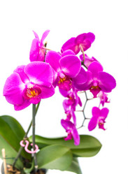 Similar image 7542546