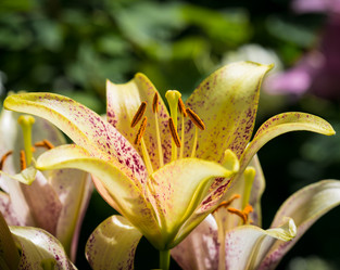 Similar image 7542553