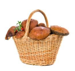 Similar image 7542557