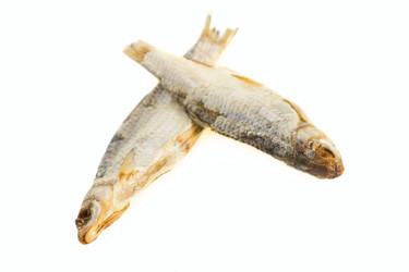 Similar image 7542563