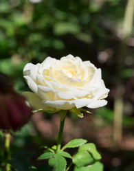 Similar image 7542566