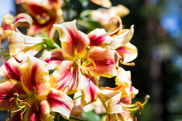 Similar image 7542569