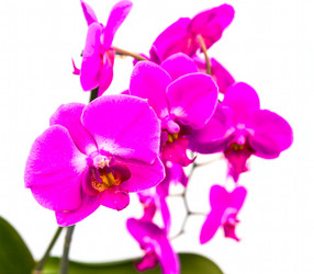 Similar image 7542570