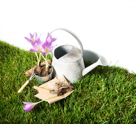 Similar image 7542575