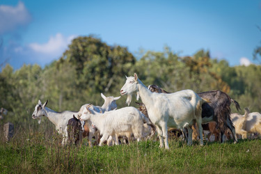 Similar image 7542577