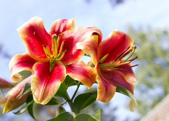 Similar image 7542578