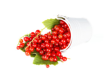 Similar image 7542579