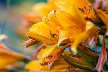 Similar image 7542586