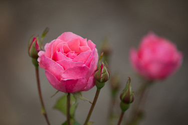 Similar image 7542590