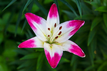 Similar image 7542594