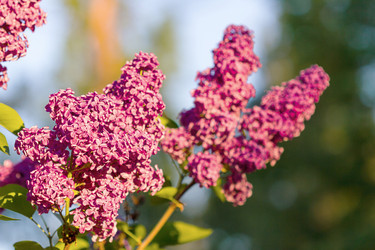 Similar image 7542596