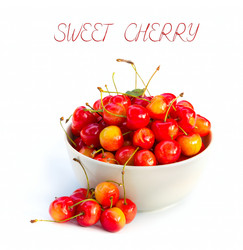 Similar image 7542599