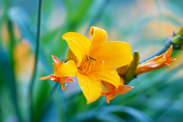 Similar image 7542613