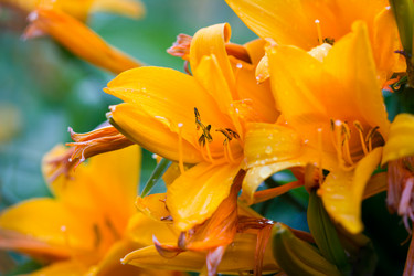 Similar image 7542616