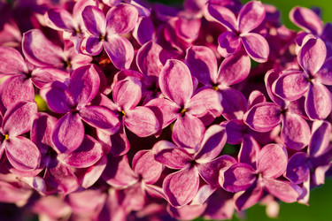 Similar image 7542617