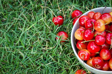 Similar image 7542621