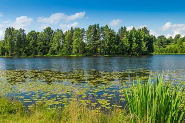 Similar image 7542622