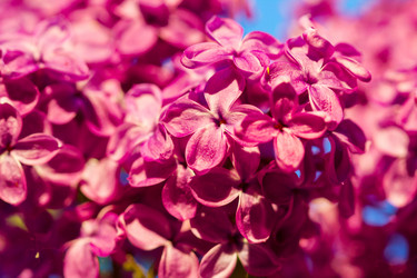 Similar image 7542624