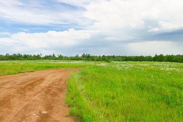 Similar image 7542625