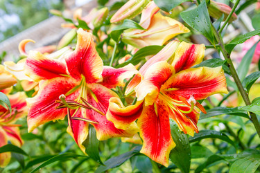 Similar image 7542628