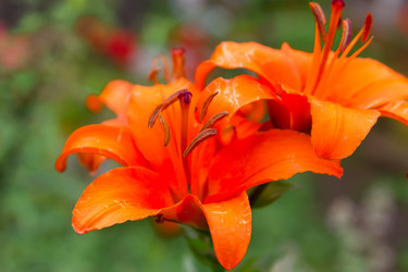 Similar image 7542629