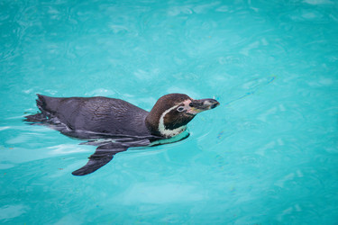 Similar image 7542634