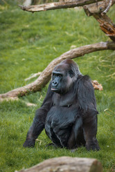 Similar image 7542637