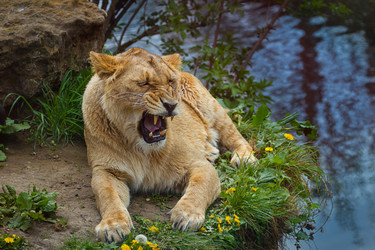 Similar image 7542638