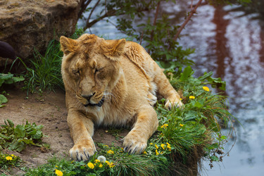 Similar image 7542641