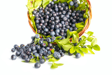 Similar image 7542644