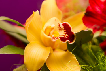 Similar image 7542645