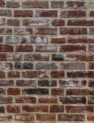 Similar image 7542646