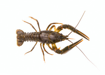 Similar image 7542650