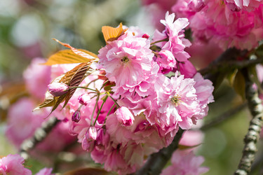 Similar image 7542654