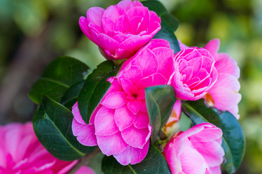 Similar image 7542663