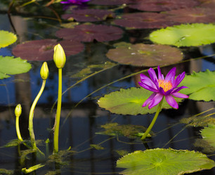 Similar image 7542668