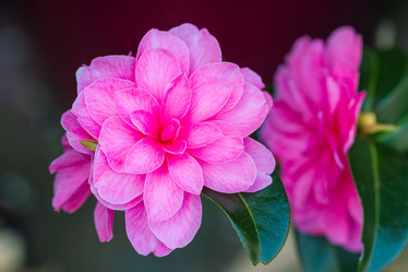 Similar image 7542671