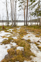 Similar image 7542672