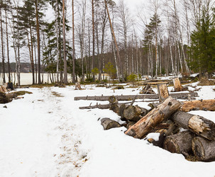 Similar image 7542673